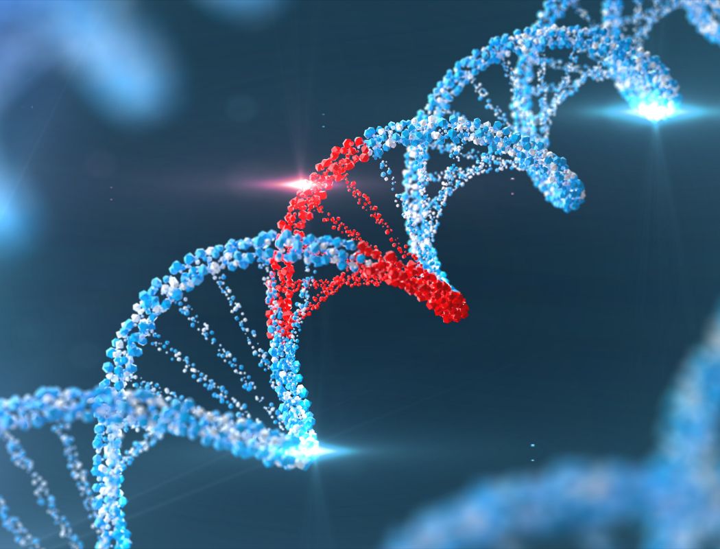 Graphic of a DNA double helix.