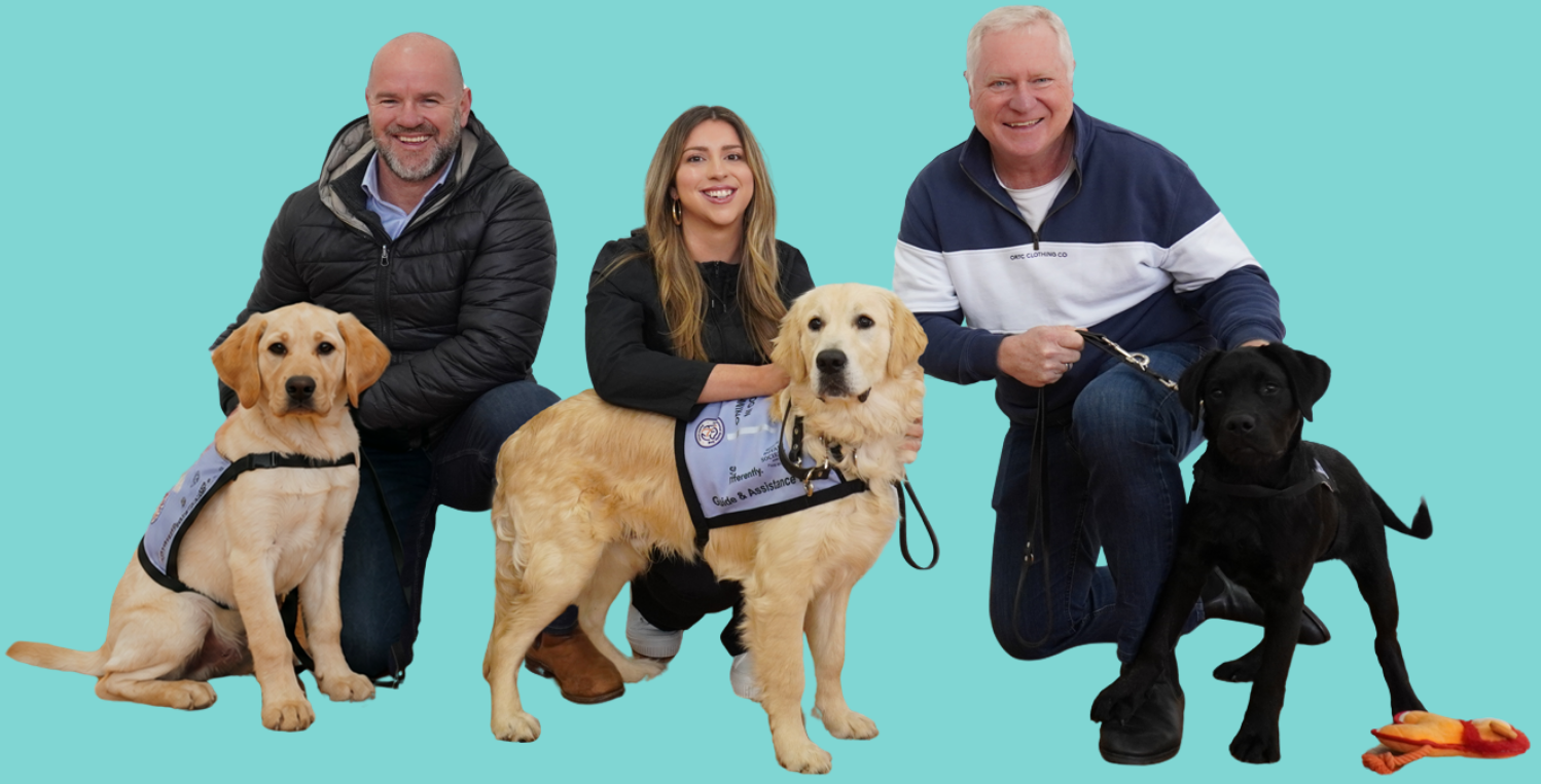 Three people kneel down with a fully trained Guide Dog and two puppies