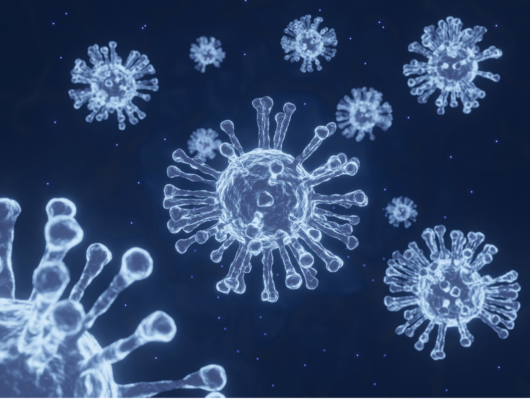 image of virus